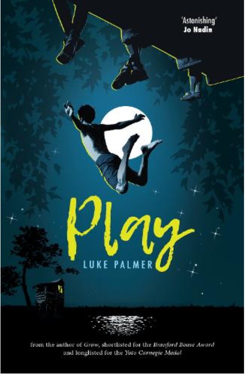 Happy Book Birthday to Play by @lcpalmerpoet - four boys, four paths but will there be four futures? (YA) @FireflyPress