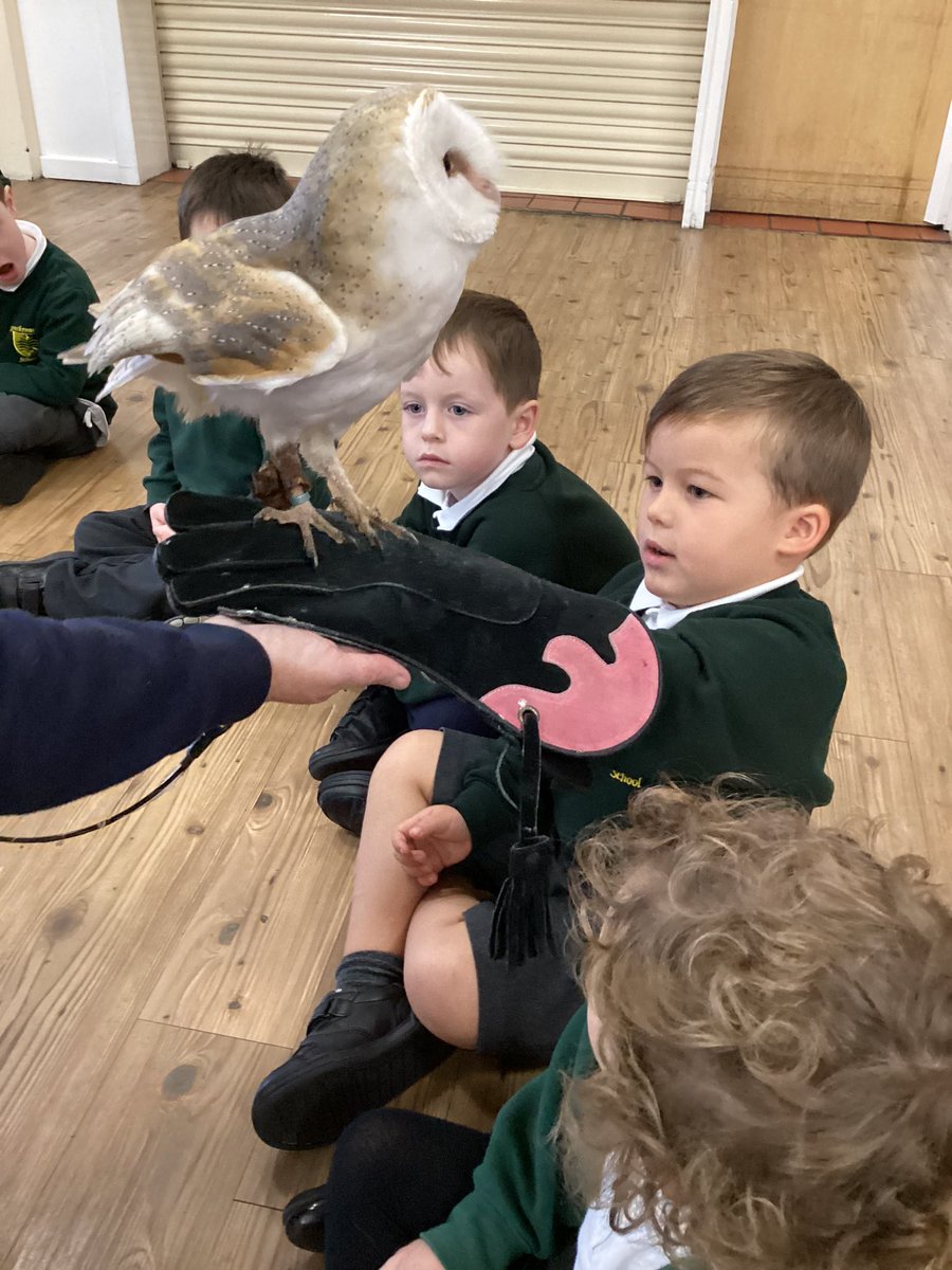 Brackenwood_Inf's tweet image. F2R loved their workshop with Animals Take Over! yesterday morning. We were so impressed with their gentleness and bravery when handling the animals. Well done F2R and thank you @AnimalsTakeOver 🐀🦔🦉
