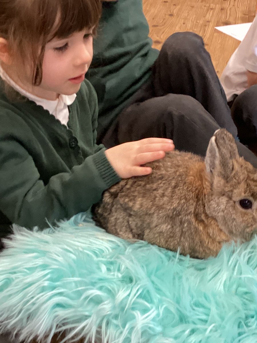 Brackenwood_Inf's tweet image. F2R loved their workshop with Animals Take Over! yesterday morning. We were so impressed with their gentleness and bravery when handling the animals. Well done F2R and thank you @AnimalsTakeOver 🐀🦔🦉