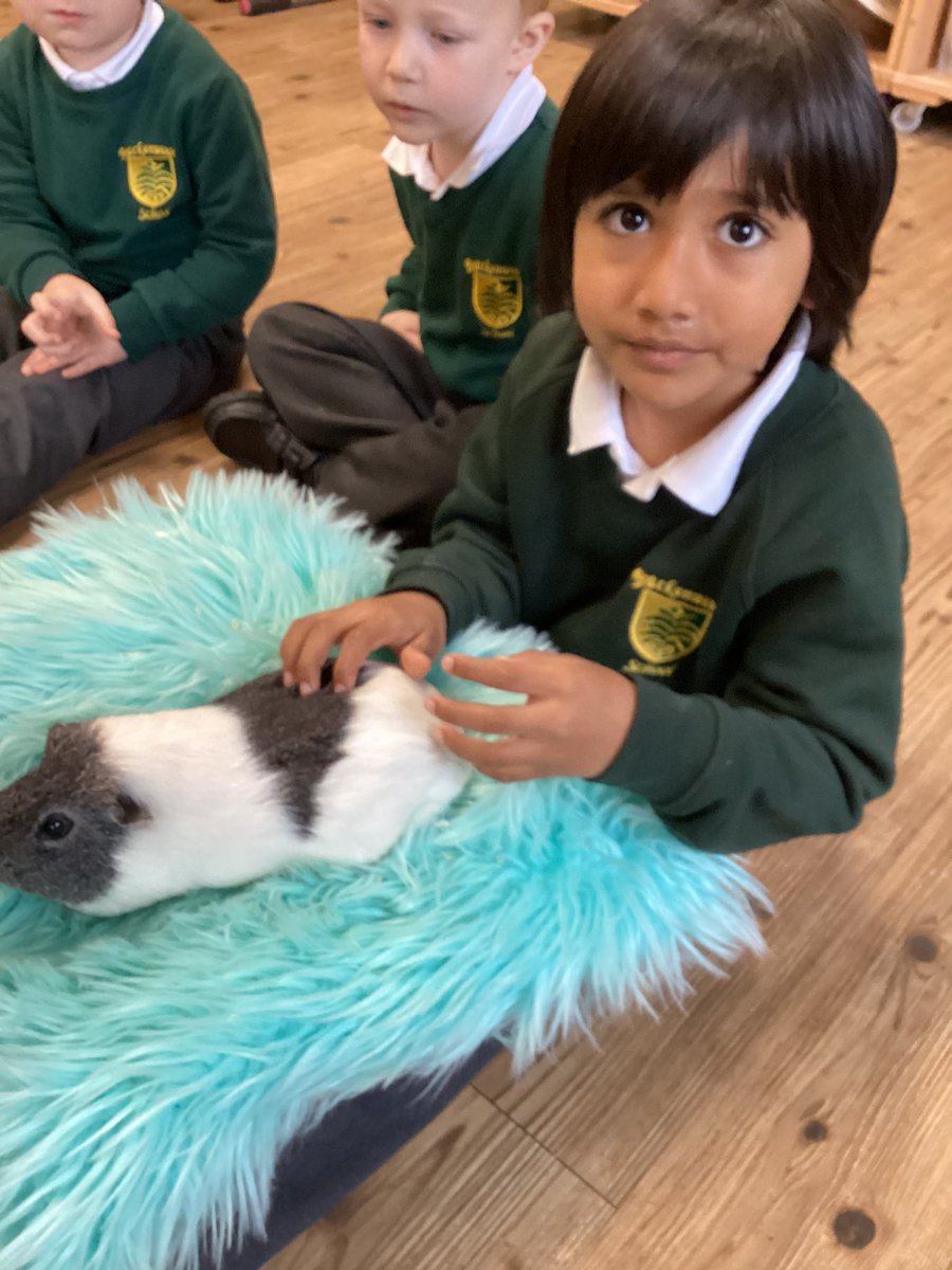 Brackenwood_Inf's tweet image. F2R loved their workshop with Animals Take Over! yesterday morning. We were so impressed with their gentleness and bravery when handling the animals. Well done F2R and thank you @AnimalsTakeOver 🐀🦔🦉