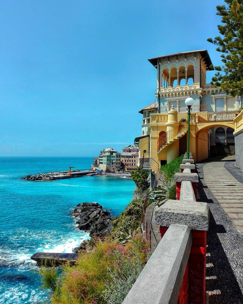 visitriviera's tweet photo. #LiguriadAutunno🍃
•••
📍 #Bogliasco
🗺 https://t.co/OkbXPBx1FP
📷 montiluca_17
❤️ #5ottobre #Genovesato #VisitRiviera #iloveliguria #Liguria #Italy #Italia #rivieraligure #lamialiguria #turismoinliguria #orgoglioliguria
💙💛 https://t.co/Tl6PBTKzSu