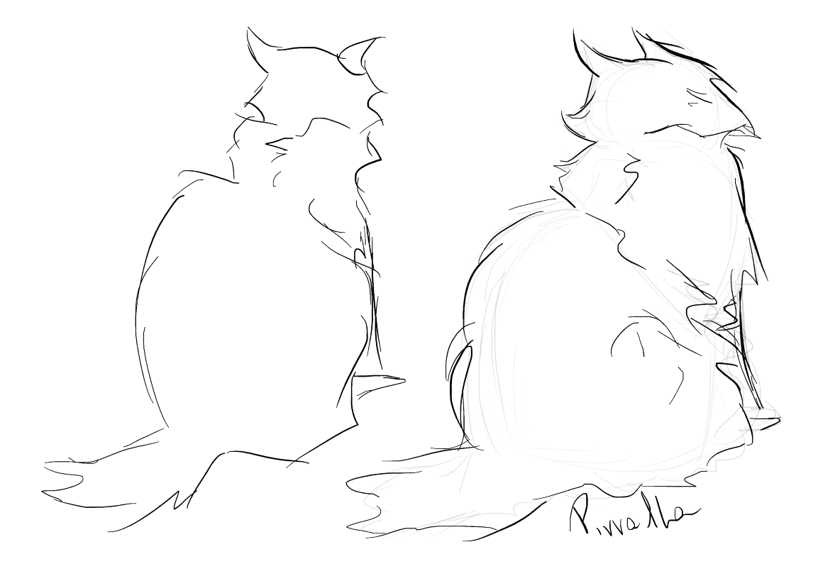 AaBi pirralha (@bipirralha88257) on Twitter photo 