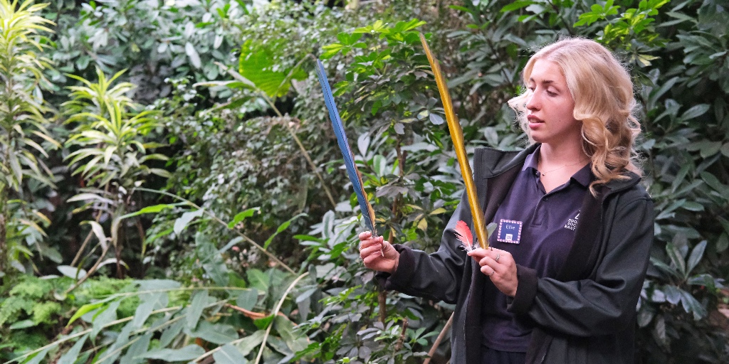 Happy #WorldTeachersDay

We are incredibly lucky to have our very own team of educators here at ZSEA. If you are looking for a way to enhance your science lessons or engage pupils with the natural world, we can help! 

Please email education@zsea.org for more information.