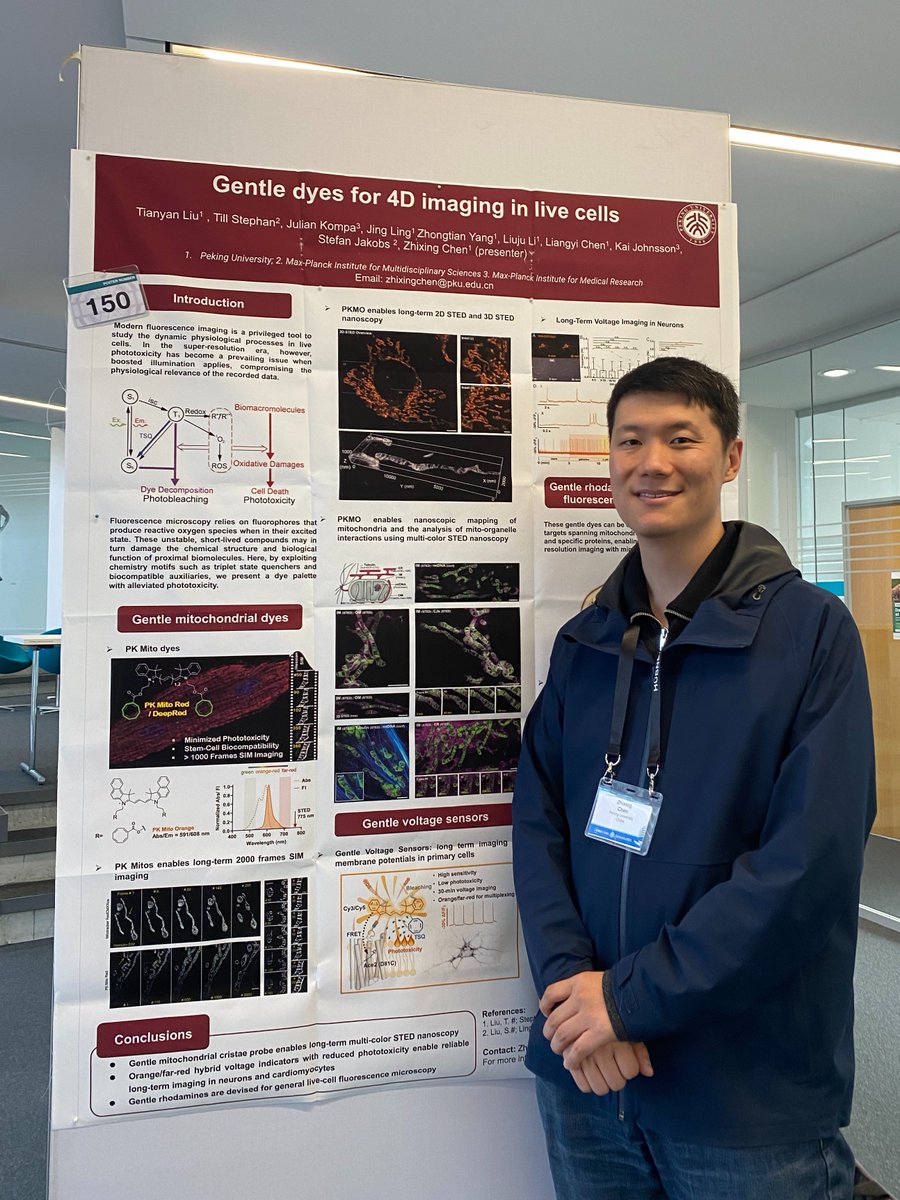 Spirochrome (@spirochrome) on Twitter photo Prof. Zhixing Chen <a href="/ZhixingChen2/">Zhixing Chen</a> is at #EESImaging presenting his latest work on improving live cell imaging probes, including his amazing PKmito™ probes for gentle imaging of #mitochondria in live cells.
Seize the rare opportunity to talk with him during the poster session Prof. Zhixing Chen <a href="/ZhixingChen2/">Zhixing Chen</a> is at #EESImaging presenting his latest work on improving live cell imaging probes, including his amazing PKmito™ probes for gentle imaging of #mitochondria in live cells.
Seize the rare opportunity to talk with him during the poster session