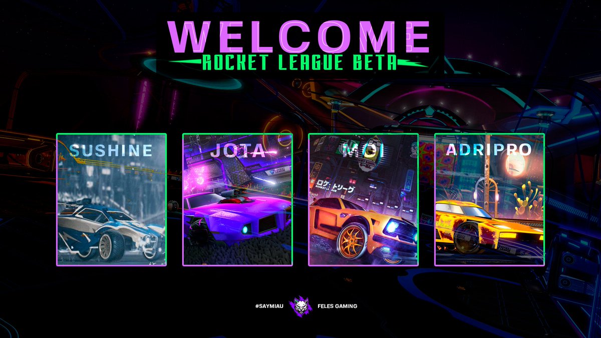 Feles Gaming 😸 tweet media