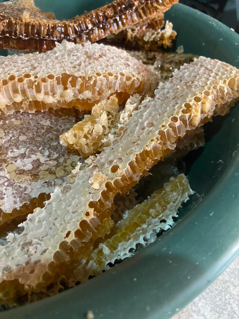 Mbeekeepers_zw's tweet photo. Jacaranda Honey π―
We start starting the J season
.
.
.
.#jacarandaseason #proudbeekeeper #exploringthedream #huchikuvanhu #zimbeekeeper #zimbeekeeping #combedhoney https://t.co/Q5S2mTrbSy