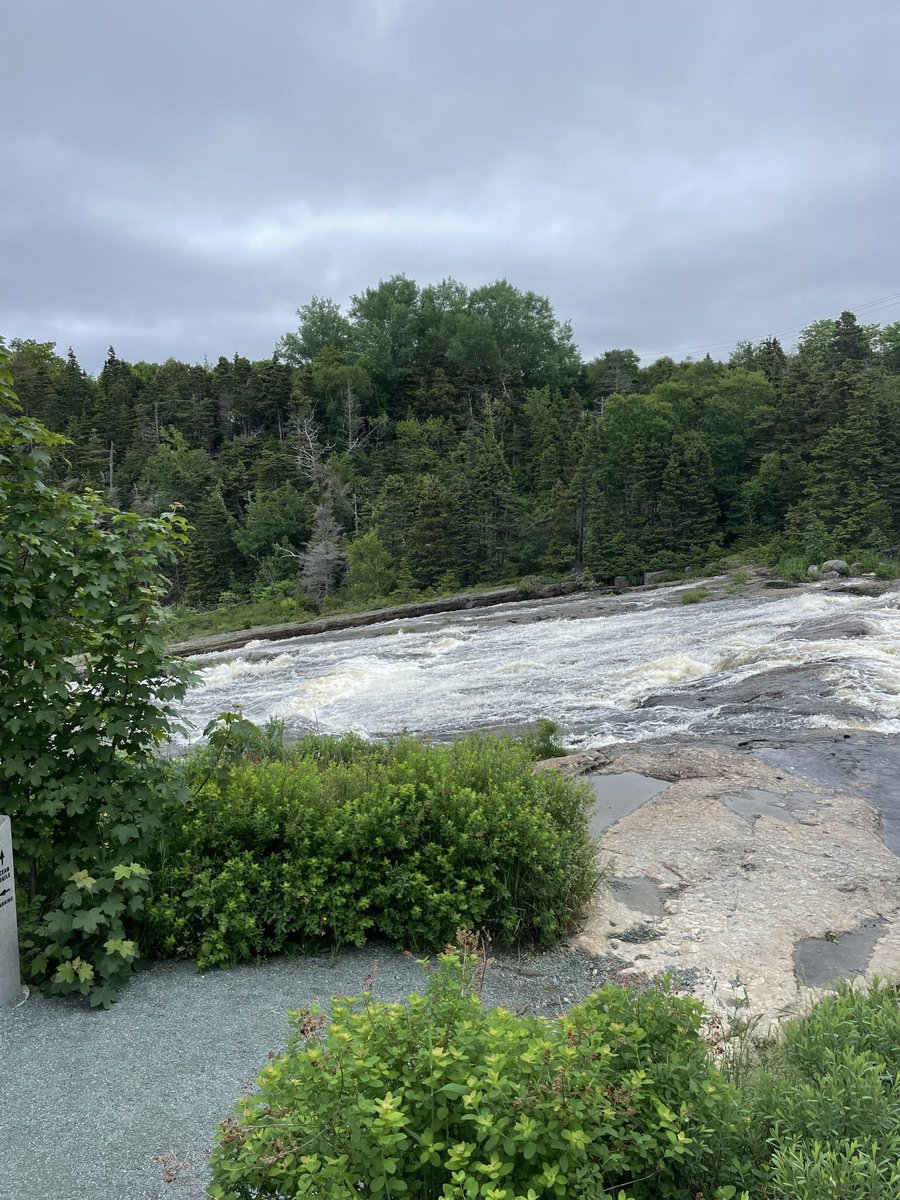 SECOUNDCUP's tweet photo. @TownofCBS @ManuelsRiver Come one come all, you will all have a ball, CBS Band will rock the night away with music 🎶 that will please you all, so don’t think twice let’s break the ice, with music 🎶 that will fill the air tonight , 🎶 https://t.co/jSYcoHvEL2