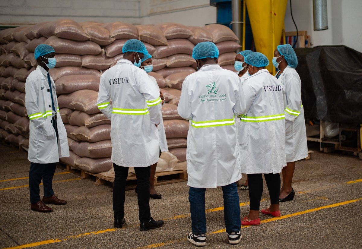 Greenforest tweet media