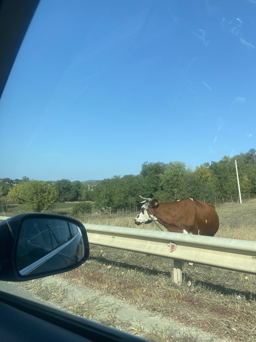 eva_nothing's tweet image. Воспоминания ✨