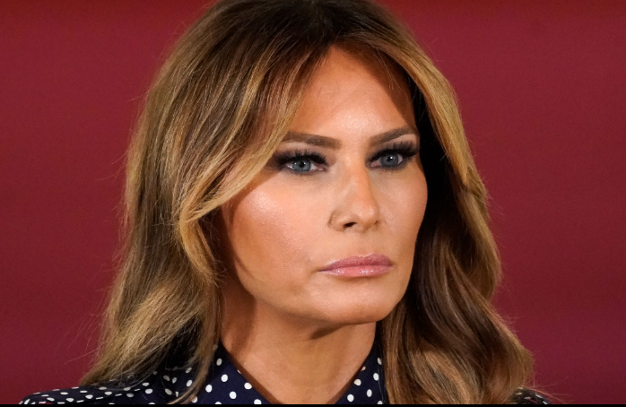 sissyroxx's tweet photo. Trump gave his wife $150 thousand a year to run a comb through her head mop while his friends who helped him try to overturn an election are begging for help with legal bills. #BrainlessSheep https://t.co/lA4Q5kiO5l