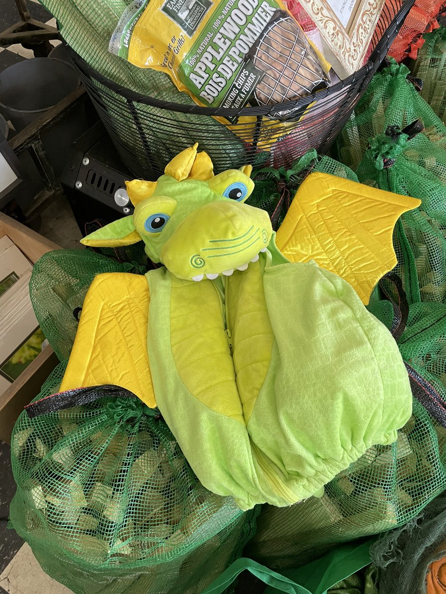 Do you need a costume for Halloween? We have a selection of free gently used items.  Come check it out today from 9-6 pm at Finnegan’s General Store.  Thank you to the little thrift store in Northbrook &amp; especially Lori W.
