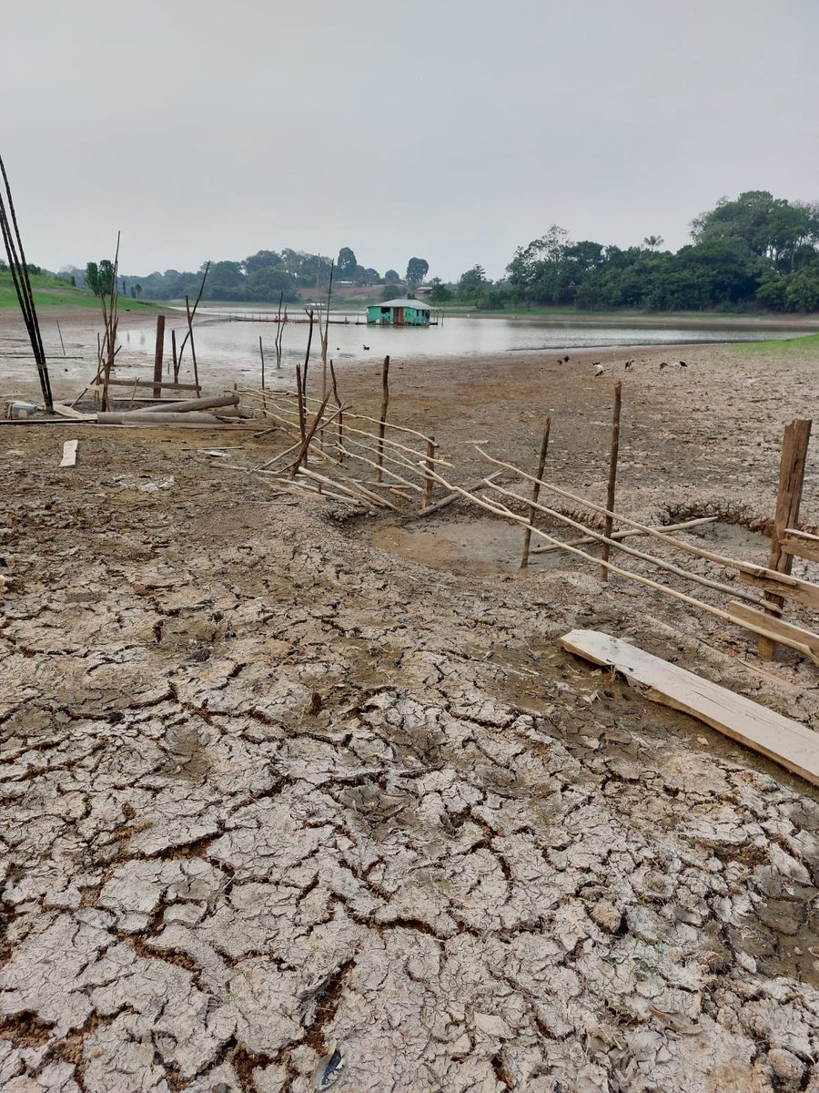 caritas_ci's tweet photo. Trauriger #Amazonas! bei #Manaus #ElNiño @theGCF @CIF_Action Ein dramatische Dürre bedroht alles. https://t.co/Z4J7DOBM2t