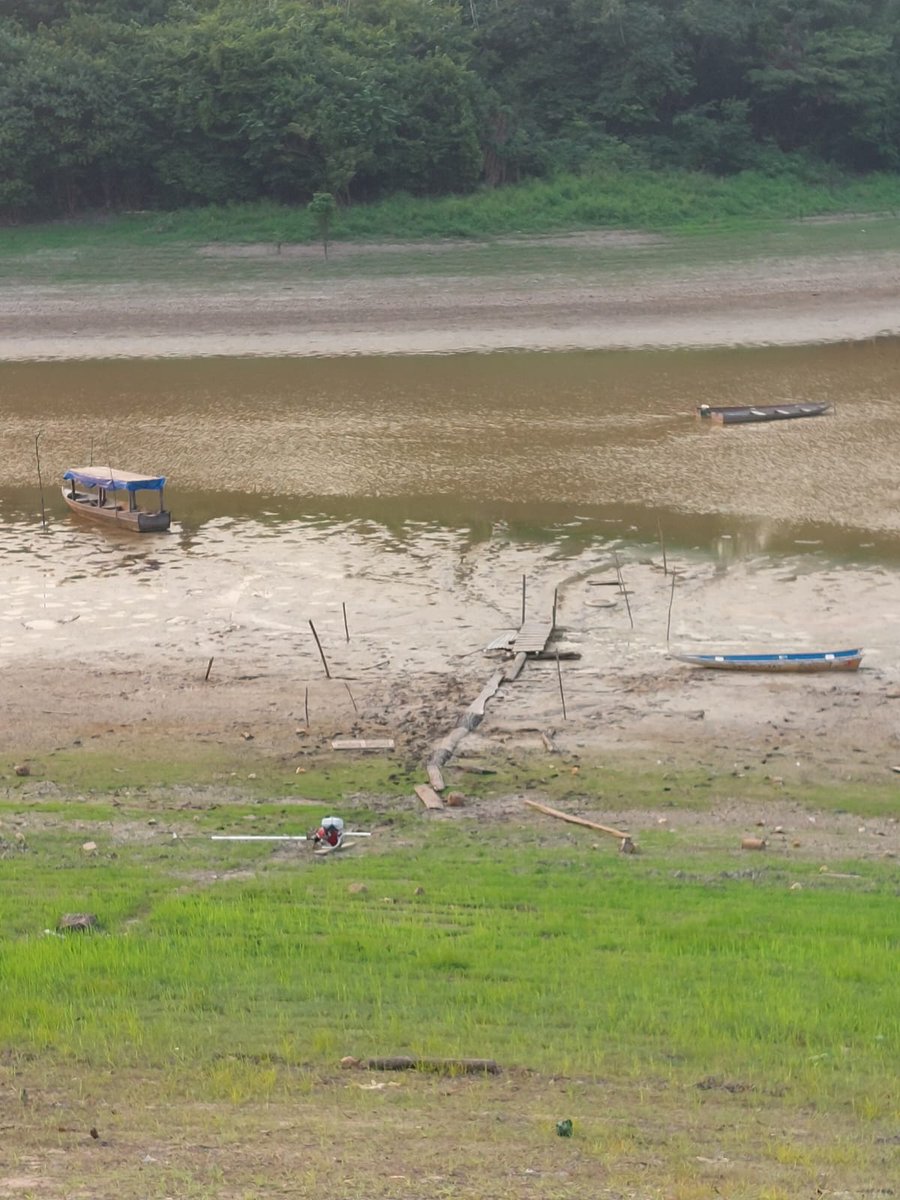 caritas_ci's tweet photo. Trauriger #Amazonas! bei #Manaus #ElNiño @theGCF @CIF_Action Ein dramatische Dürre bedroht alles. https://t.co/Z4J7DOBM2t