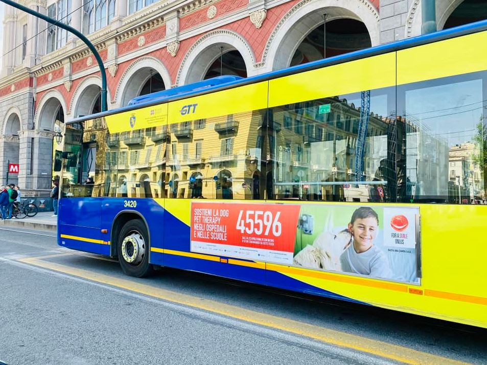 Forasmileonlus's tweet photo. Ringraziamo @IGPDecaux Media partner per For a Smile Onlus che ci ha accompagnato nelle città di Torino,  Milano e Roma con Out of Home, lanciando la campagna SMS solidale 45596 per il progetto #BastaUnaZampa #dogpettherapy negli ospedali pediatrici e nelle scuole in Italia. https://t.co/bemLEa60pv