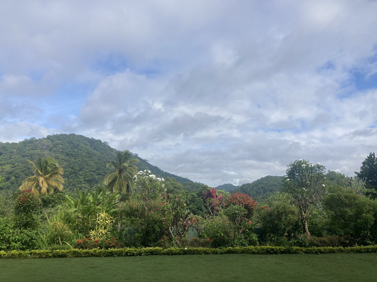 Keesje (Crawford) Avis tweet media