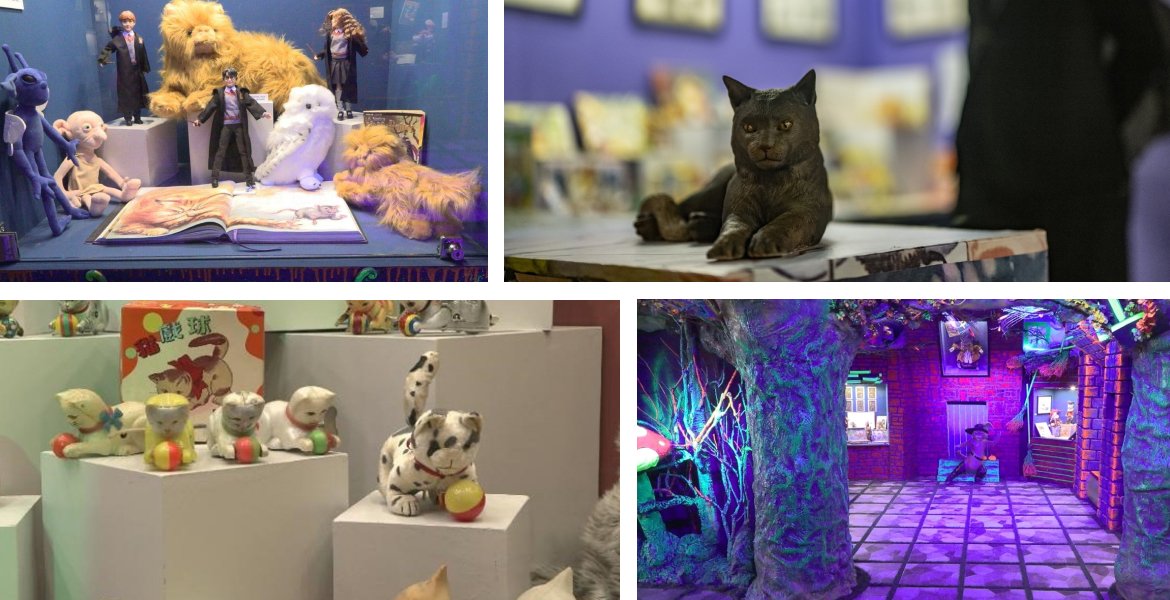 İstanbul'un ilk hayvan temalı müzesi özelliğine sahip #KediMüzesi, Dünya Hayvanları Koruma Günü'nde açıldı.
vegadergi.com.tr/kedi-muzesi-ac…