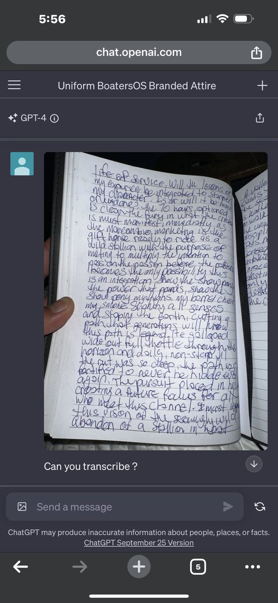 spikeonthewater's tweet image. Yes #chatgptVISION doth #morningpages