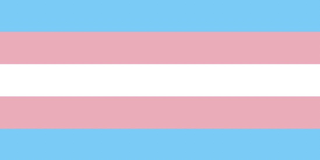 Rainbow Owls tweet media