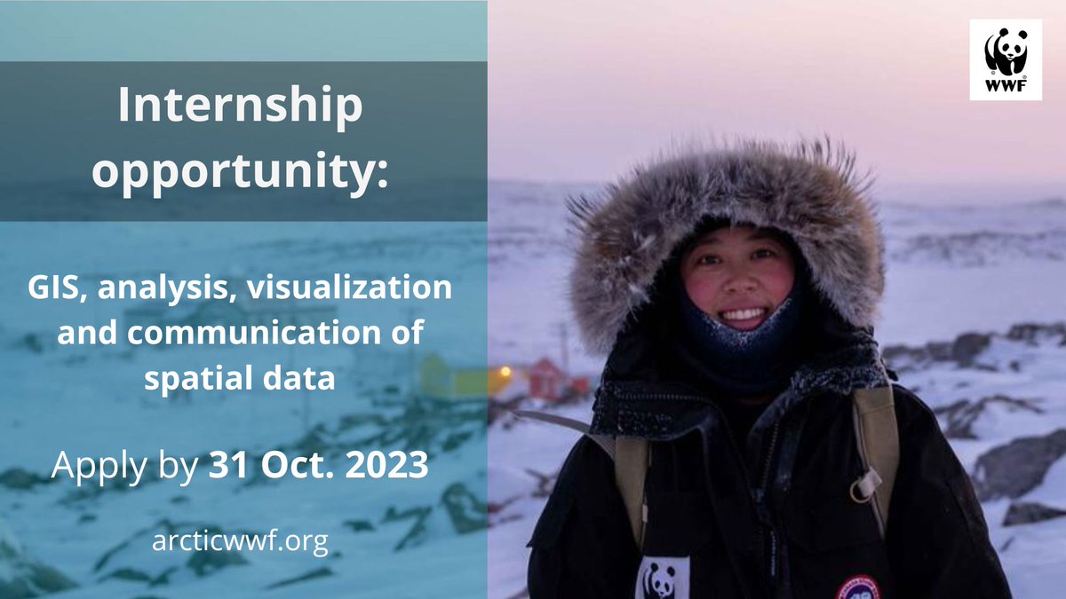 📢  #Internship opportunity with WWF #Arctic ❄️

🐋 Where do whales migrate?
🐻‍❄️ What habitat is available for polar bears in the changing climate? 

Help us show why people should care, using spatial data.

Learn more and apply 👇
jobb.wwf.se/en-GB/jobs/318…