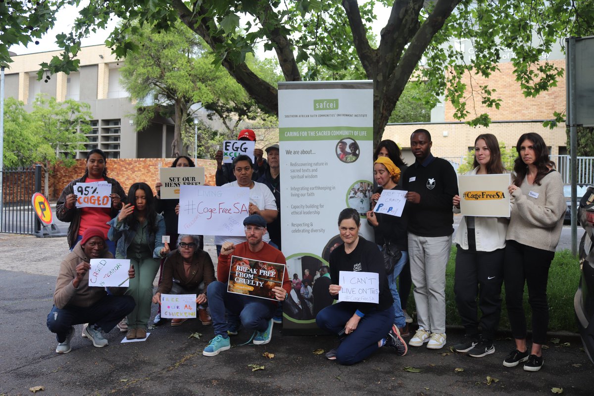 This Saturday, we co-hosted a social media & advocacy workshop with @SAFCEI , focusing on hens' future in South Africa. We all agreed, #CageFree is vital for animals & us. Thank you to all who joined! Check out @SAFCEI to see how you can add your voice.