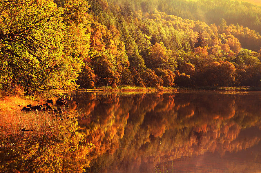 Nicola Carey 💙 (@nmp_nicolacarey) on Twitter photo Looking for autumn glory in the Highlands? Fantastic oportunities for lecturers: adult nurse (ACP) (1.0FTE) & mental health (0.6 FTE) up for grabs. uhi.ac.uk/en/staff/vacan… <a href="/HeatherBain9/">Heather Bain 💙</a> <a href="/BeattieQi/">Michelle Beattie</a> <a href="/Mcdo78840771Sam/">Sam Mcdonald</a> <a href="/danniclairew/">Danielle woods</a> <a href="/NHSHighland/">NHS Highland</a> <a href="/nhshkpq/">Kate Patience - Quate</a> <a href="/barrymuirhead/">Barry Muirhead</a> <a href="/coletteh16/">Colette Henderson</a> Looking for autumn glory in the Highlands? Fantastic oportunities for lecturers: adult nurse (ACP) (1.0FTE) & mental health (0.6 FTE) up for grabs. uhi.ac.uk/en/staff/vacan… <a href="/HeatherBain9/">Heather Bain 💙</a> <a href="/BeattieQi/">Michelle Beattie</a> <a href="/Mcdo78840771Sam/">Sam Mcdonald</a> <a href="/danniclairew/">Danielle woods</a> <a href="/NHSHighland/">NHS Highland</a> <a href="/nhshkpq/">Kate Patience - Quate</a> <a href="/barrymuirhead/">Barry Muirhead</a> <a href="/coletteh16/">Colette Henderson</a>