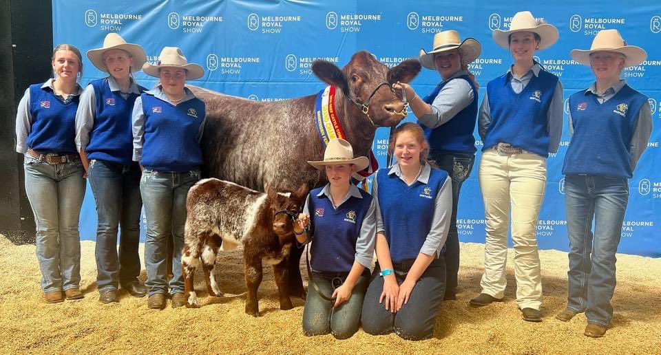 Someone smart once told me “Never forget where you’ve come from”. Pretty proud to have been able to be a part of the Finley High School show team 15 years ago, and look at them now! Such a great program! Champion Shorthorn <a href="/MelbRoyalShow/">MelbourneRoyalShow</a> amongst a swag of other awards! Unreal 👏