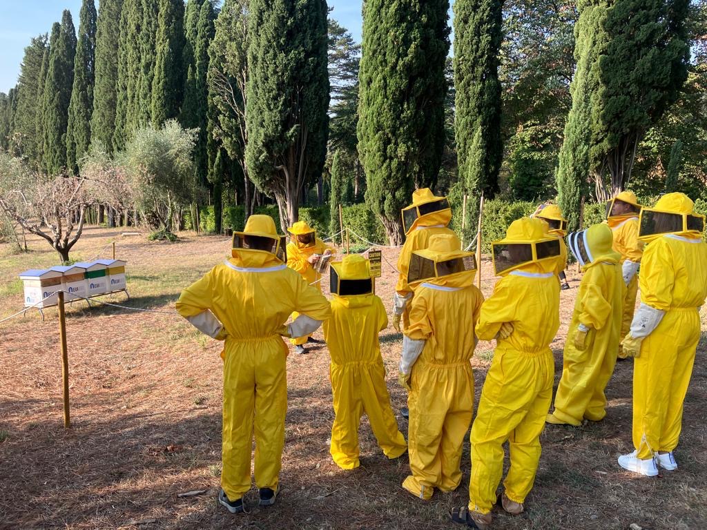 EUI_EU's tweet image. 📷 Bees! This morning, EUI members gathered at Villa Salviati for the inaugural welcome of the EUI beehives, a #GreenEUI 🌱 initiative.

The event, hosted by EUI Secretary General @mdelpanta, included an interactive workshop to learn more about our newest community members 🐝