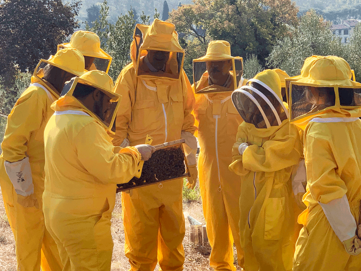EUI_EU's tweet image. 📷 Bees! This morning, EUI members gathered at Villa Salviati for the inaugural welcome of the EUI beehives, a #GreenEUI 🌱 initiative.

The event, hosted by EUI Secretary General @mdelpanta, included an interactive workshop to learn more about our newest community members 🐝