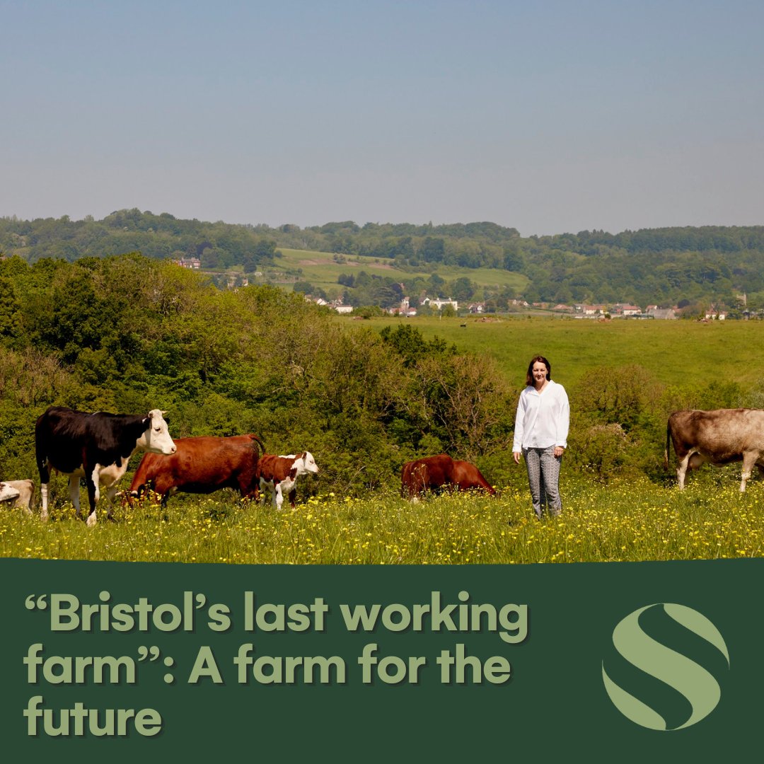 Sustainable Food Trust tweet media