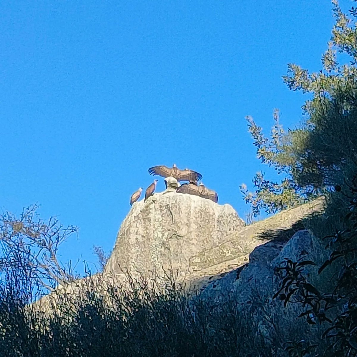 Continúa el Trofeo de Escalada Clásica en su séptima salida. En esta ocasión, en La Cabrera, vía Nines y sus variantes.  En esta misma Sierra tendrá lugar la última propuesta del mes de octubre, aunque, aún queda por recuperar la de Villarejo  #trangoworld #taketheotherway 👣