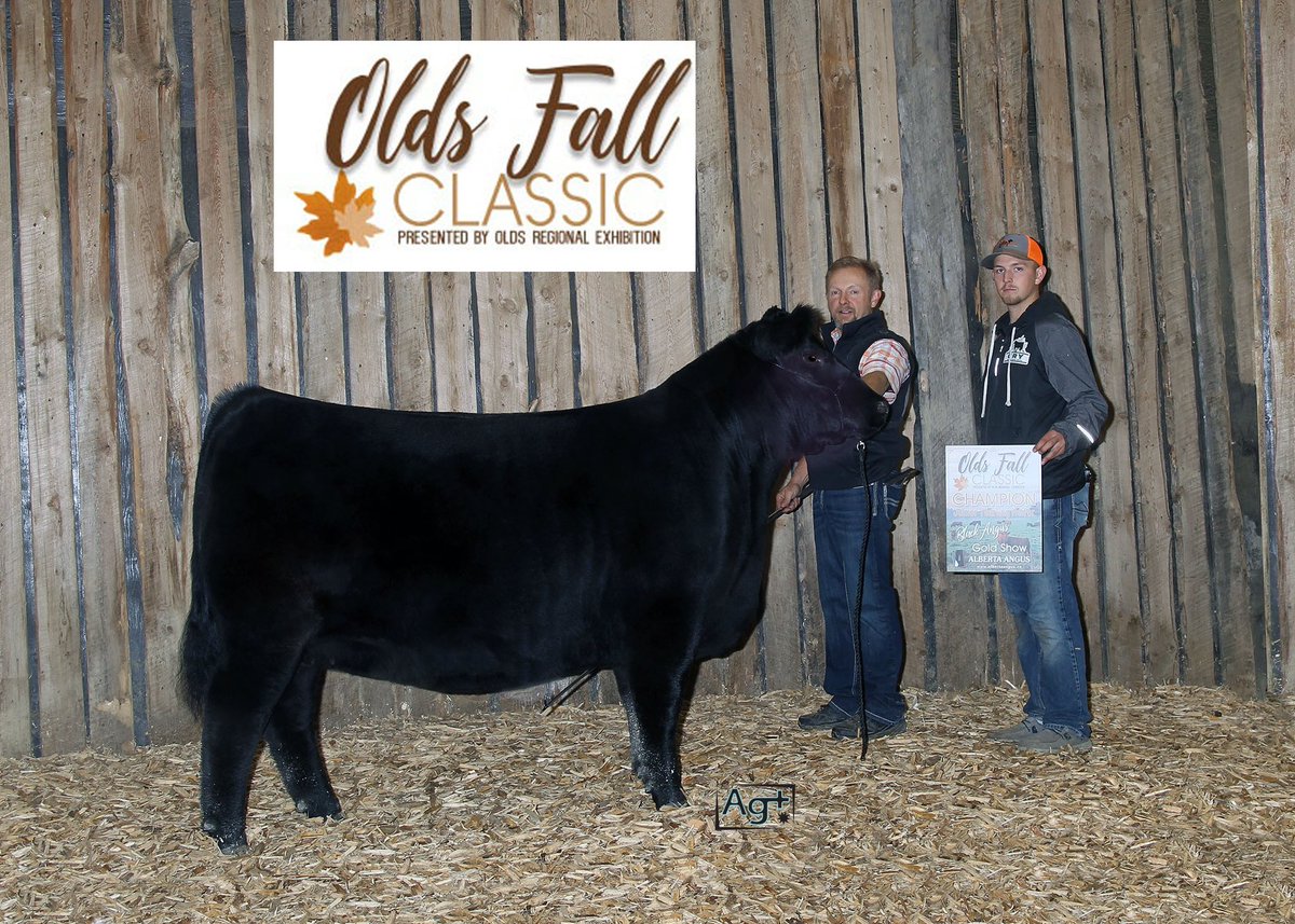 Thank you to the sponsors and organizers of Olds Fall Classic, it was a great weekend.