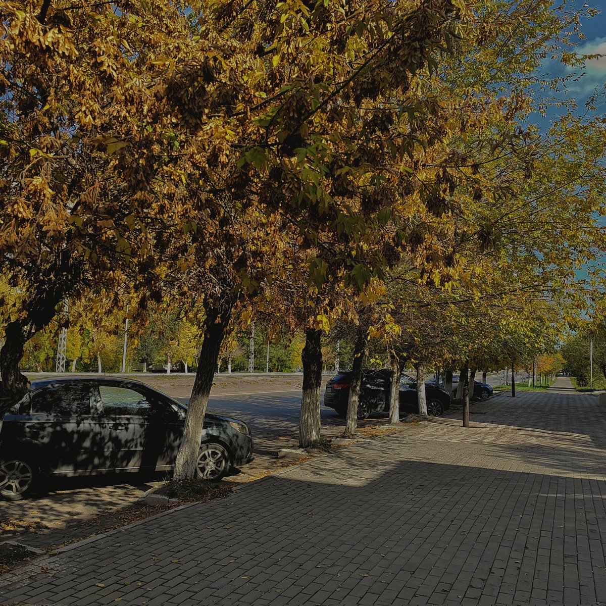 вот он — поистине светлый путь.
закрыв за собой врата мрака,
она находит шанс на сцене блеснуть.