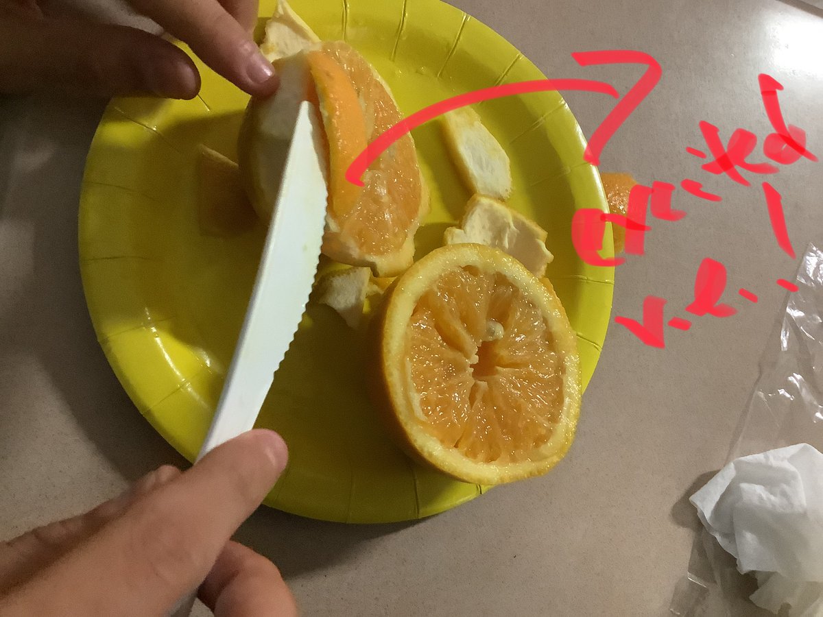 MsPChem's tweet image. -  Big  fan  of sensory  experience  connecting  to  learning 
-  EL Chem fun @ElkGrove_HS  - modeling valence e- ⚛️ with  Valencia 😃🍊.
-  We  ionized  the  valence  shell!
-  We  had  electron  excitation!  
#214learns