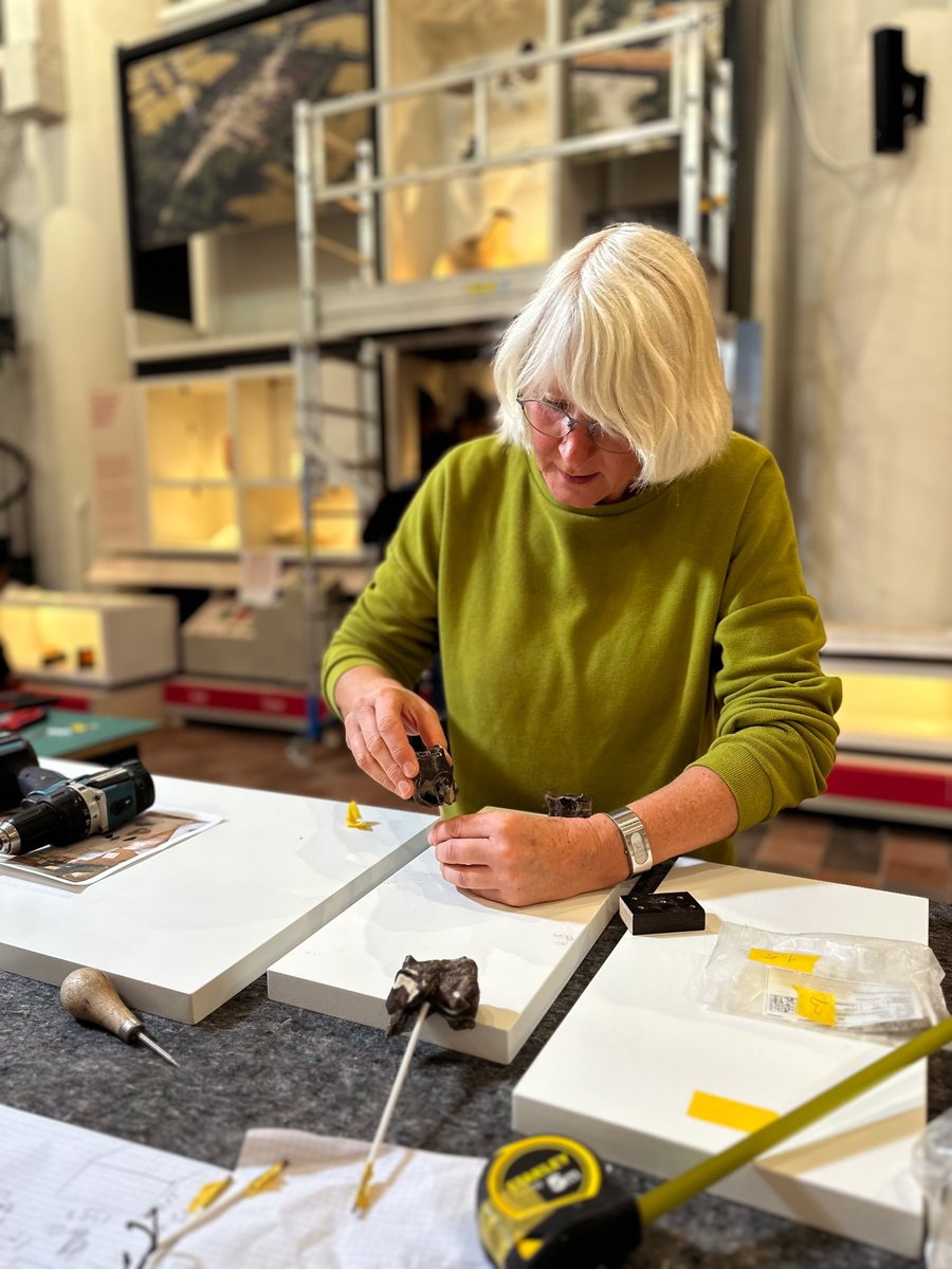 Erfgoed 's-Hertogenbosch tweet media