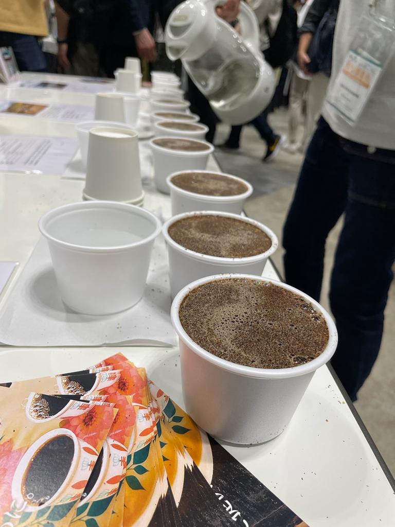 Trabocca tweet media