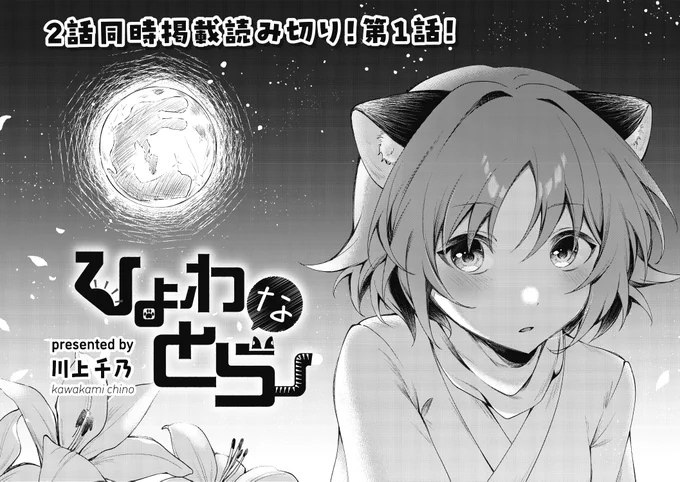 【きらら11月号】2話同時掲載読み切りゲスト! 川上千乃先生「ひよわなとら」! あるところに弱々でダメダメな來(らい)という名の虎がおりました。虎なのに雑草を食べて飢えを凌いでいる始末。 そんなある日、雨宿りに入った建物でポンコツトラが見つけたのは『干支募集』の張り紙で…。 #kirara