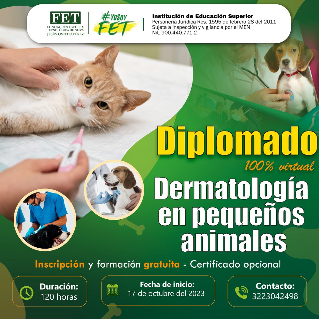 yosoyfet's tweet photo. ¡Anímate a estudiar el Diplomado en Dermatología en Pequeños Animales!
No solo ampliarás tu conocimiento veterinario, sino que también mejorarás la calidad de vida de las mascotas y sus dueños. 
Inscríbete hoy por medio del siguiente link https://t.co/pQZ1p0hvhy https://t.co/JAXuU8vONF