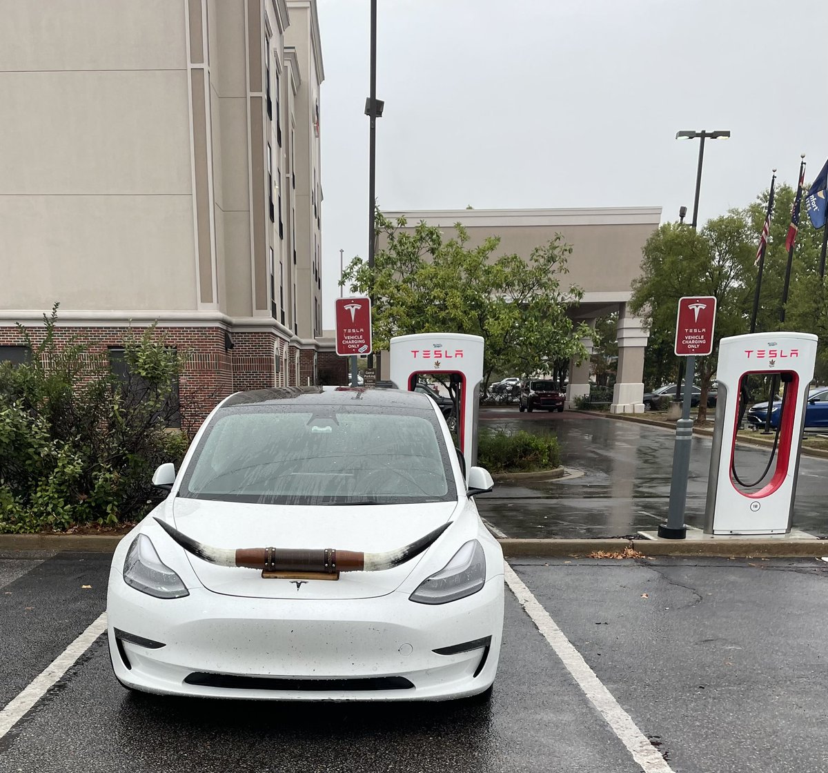 Kurtis Cooper tweet media