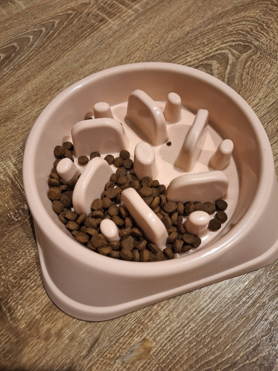 данис tweet media