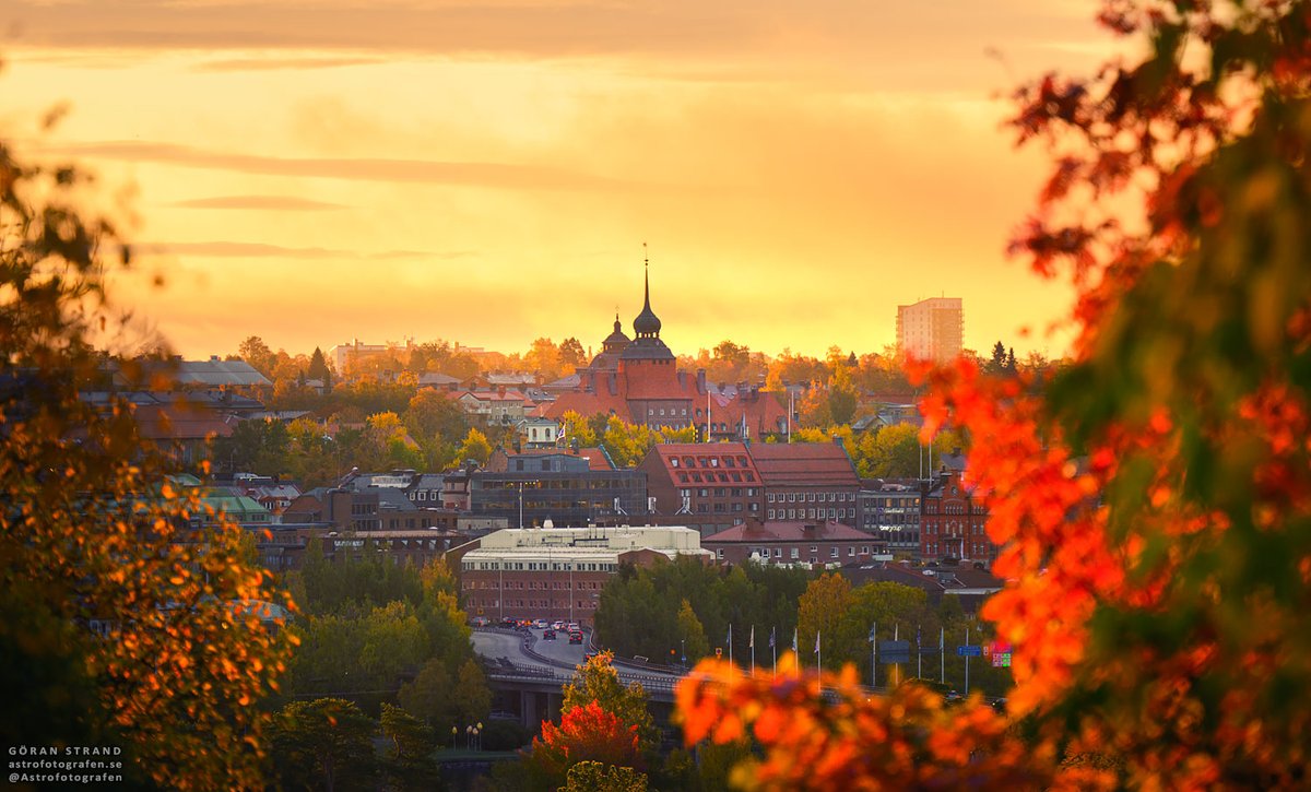 Beautiful morning in Östersund, Sweden, with all the fall colors and a golden colored morning sky. Nikon Z9 with Nikon Z 70-200mm f/2.8 VR S @UKNikon #Östersund #Sweden