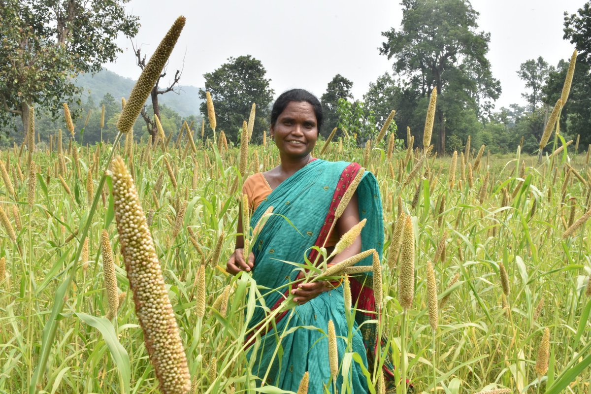 DfoSundargarh's tweet image. “Smile of success, smile of hope for more harvest, smile of hope for economic growth”…
433 VSS members of 22 VSS of Sundargarh DMU waiting for high yield of crops like RAGI, JOWAR, SUAN &amp;amp; BAJRA with the convergence of #OdishaMilletMission
@ForestDeptt @pccfodisha @MoSarkar5T