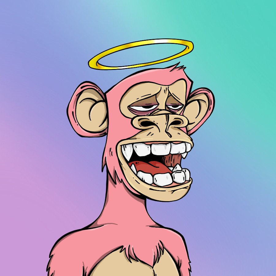 MorLilly tweet media