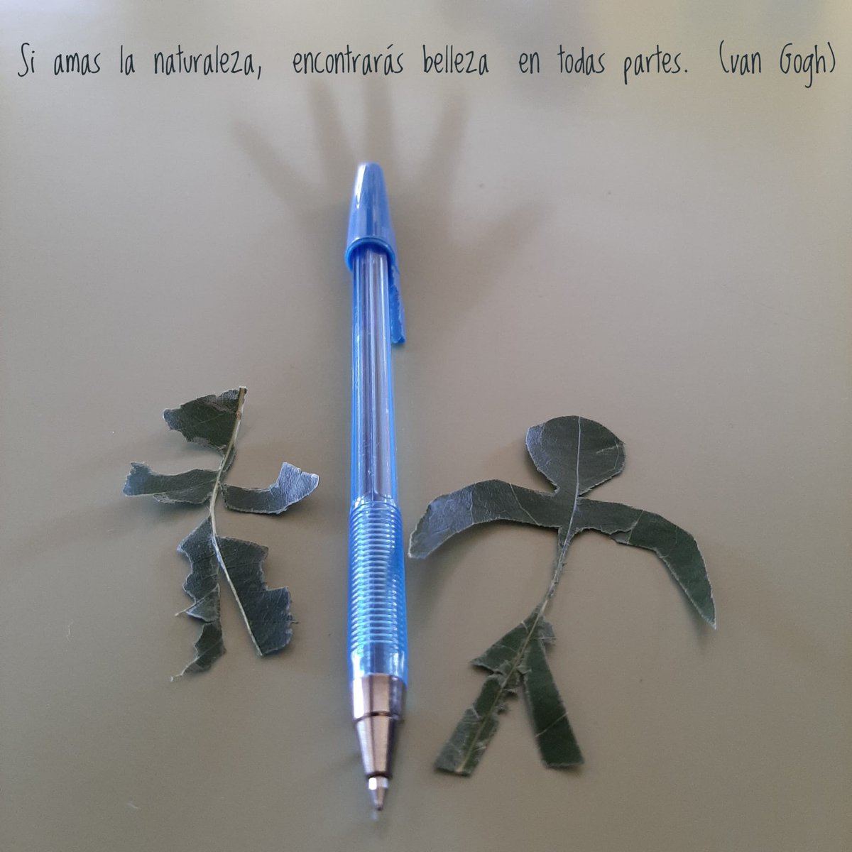 mip_feye's tweet photo. Hoy en Secundaria comenzamos el proyecto "Menuda fauna" tomando conciencia de la naturaleza. Para cuidar a los animales, empieza por ti.
#menudafauna
#escucha https://t.co/WiA2TSUE8C