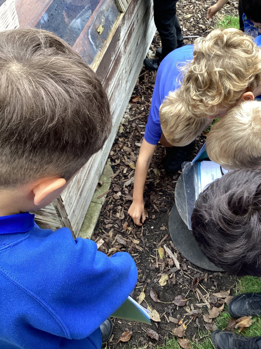 Jerry Clay Academy (@jcawakefield) on Twitter photo We are scientists!
Year 2 have been investigating living things and microhabitats in our outdoor area! We used scientific vocabulary to define and describe habitats, microhabitats and living things. 🔍🐞
<a href="/JCA_Science/">Jerry Clay Academy Science</a> #JCAScience #PrimaryScience #outdoorlearning We are scientists!
Year 2 have been investigating living things and microhabitats in our outdoor area! We used scientific vocabulary to define and describe habitats, microhabitats and living things. 🔍🐞
<a href="/JCA_Science/">Jerry Clay Academy Science</a> #JCAScience #PrimaryScience #outdoorlearning