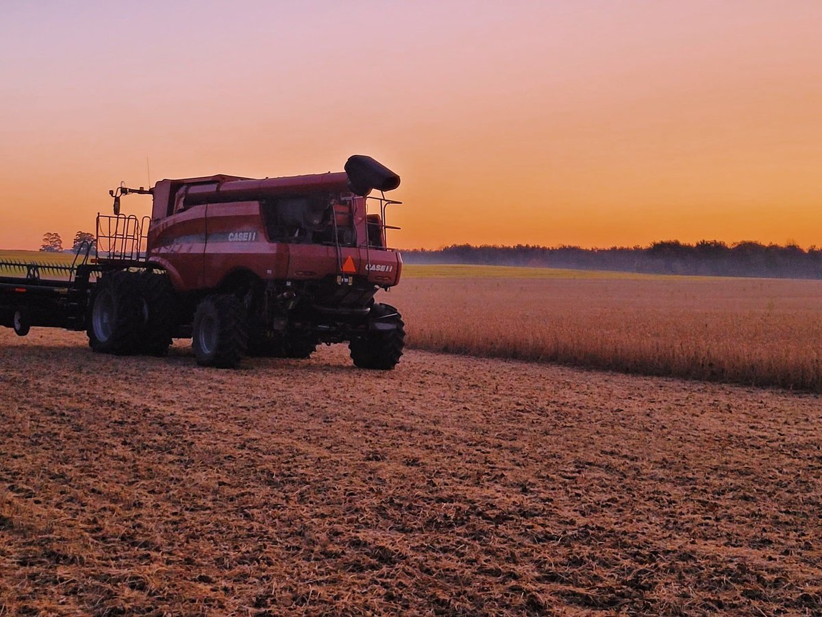 mara_cutting's tweet photo. Favourite time of year 😁 #OntAg #Soybeans2023 #WomenInAg #CanadianAg https://t.co/xbmUel3v1P
