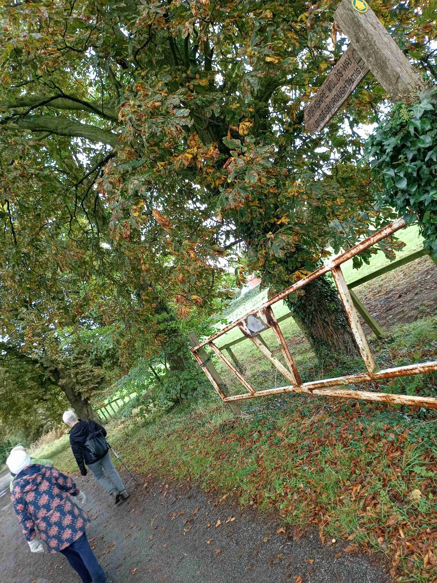 Thank you Cafe on the Wolds - Market Weighton for your hospitality we enjoyed our lunch after our 5 mile <a href="/wicstun/">Market Weighton</a> Market Weighton to Londesborough circular walk. 
Thanks to <a href="/GooleGoFar/">Goole GoFar💙</a> for obtaining funding to make our 'Out of Hook Walks' possible 🚌 #localwalks