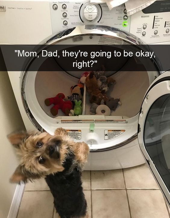 WholesomeMeme's tweet photo. https://t.co/NbPkJ3eOAD
