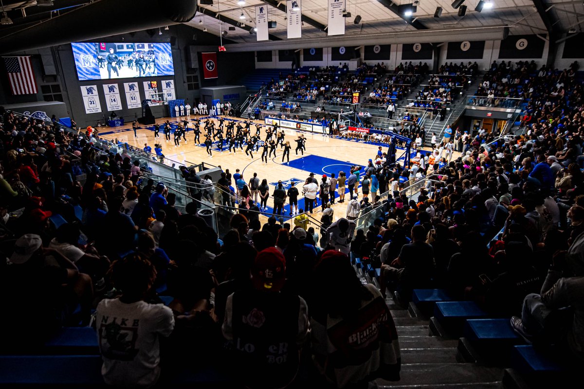 Memphis Women's Basketball tweet media