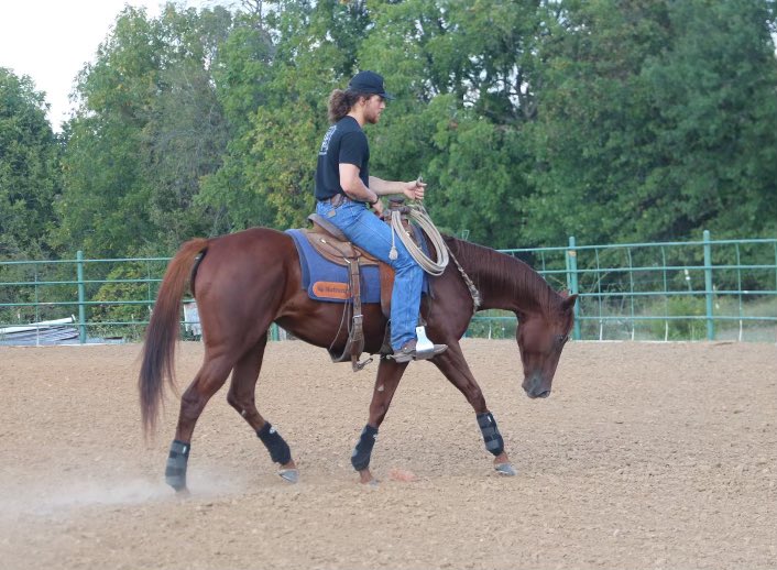 My mare is officially for sale! 

TAKE A PEAK 
Kitten’s Joy x Andes by Forestry
16.1 hh 
5 years old

One hell of a mare. Ride her in bit, bosal, or neck rope, trail ride or arena—this mare is your girl. If y’all know anyone who would be interested, send me my way!