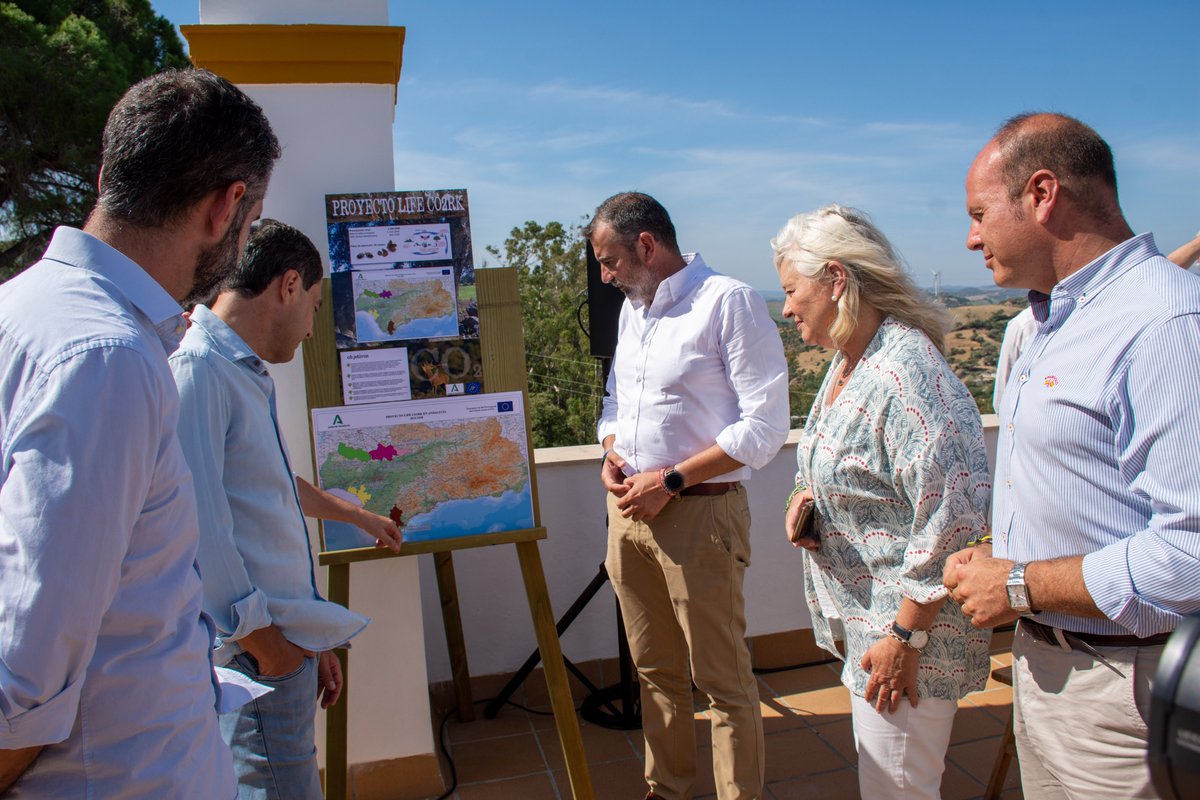 Cádiz Junta tweet media